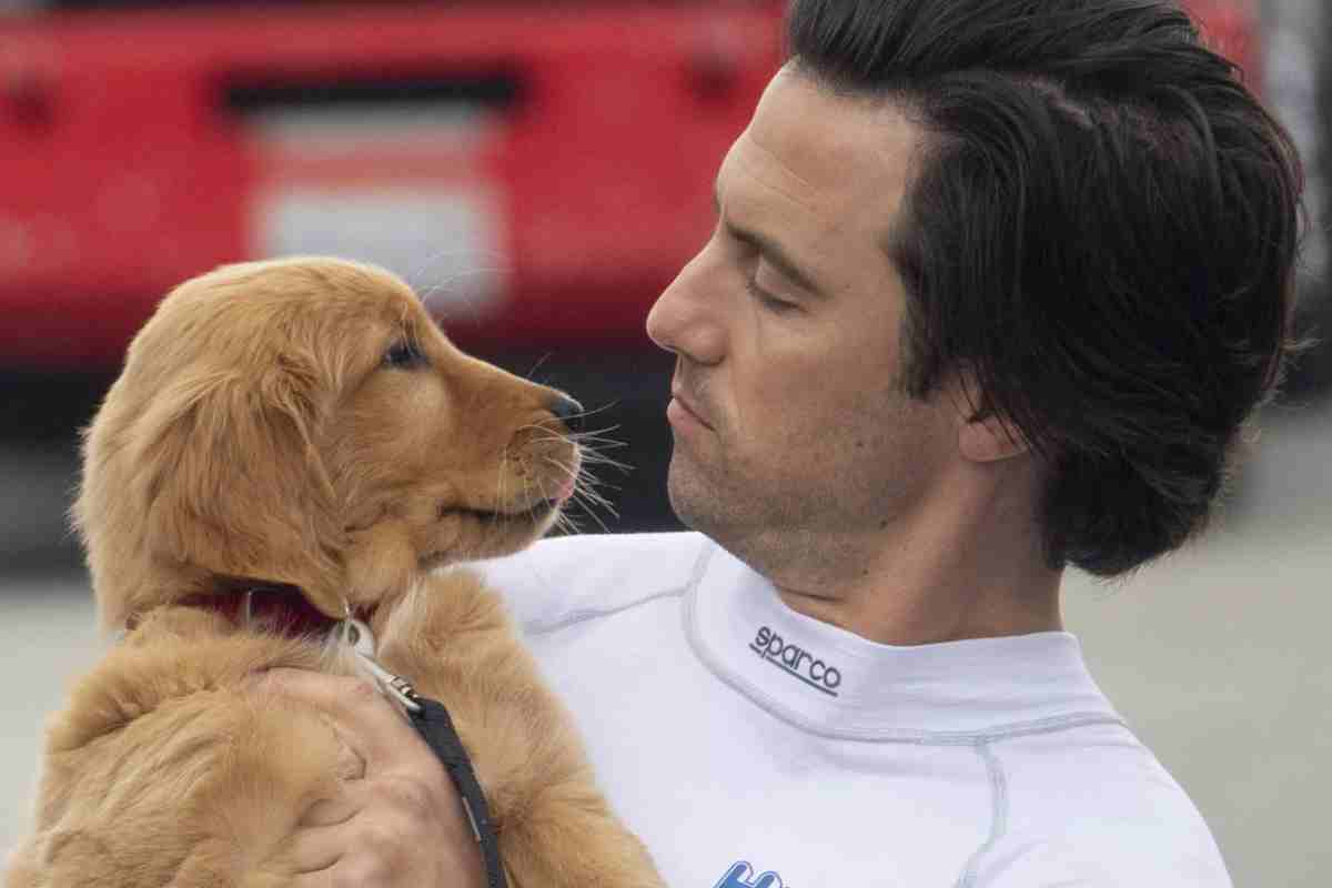 enzo milo ventimiglia